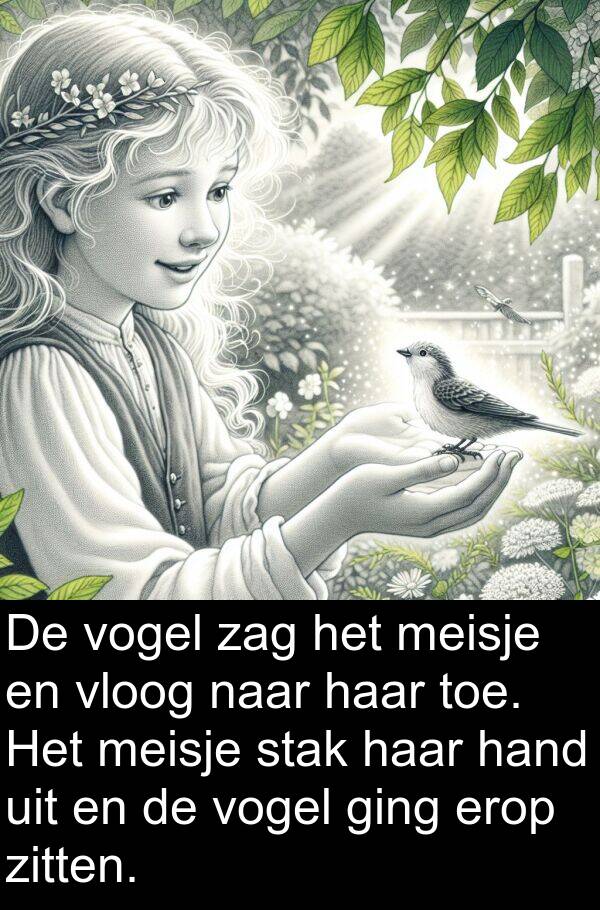 hand: De vogel zag het meisje en vloog naar haar toe. Het meisje stak haar hand uit en de vogel ging erop zitten.