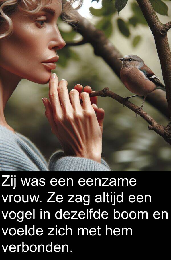 dezelfde: Zij was een eenzame vrouw. Ze zag altijd een vogel in dezelfde boom en voelde zich met hem verbonden.