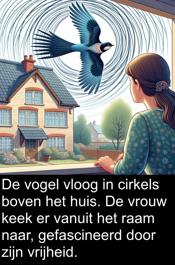 cirkels: De vogel vloog in cirkels boven het huis. De vrouw keek er vanuit het raam naar, gefascineerd door zijn vrijheid.