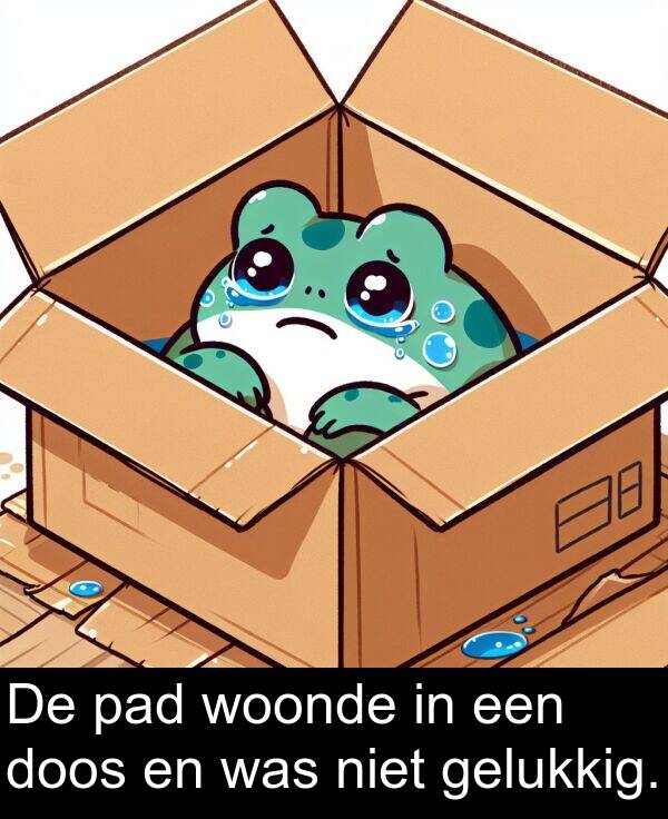 was: De pad woonde in een doos en was niet gelukkig.