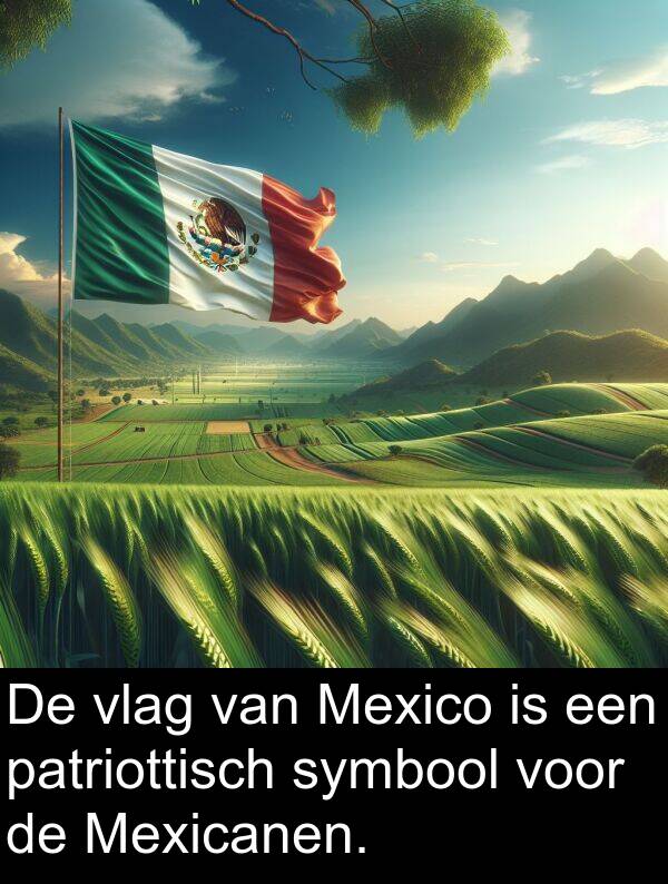 patriottisch: De vlag van Mexico is een patriottisch symbool voor de Mexicanen.