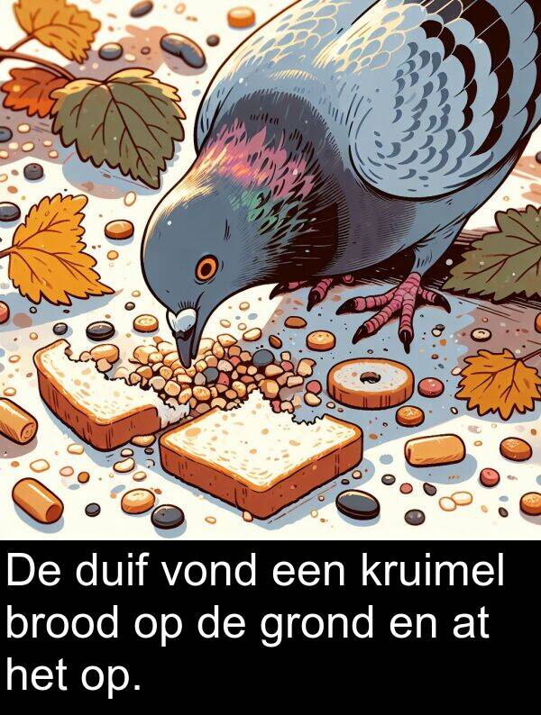 grond: De duif vond een kruimel brood op de grond en at het op.