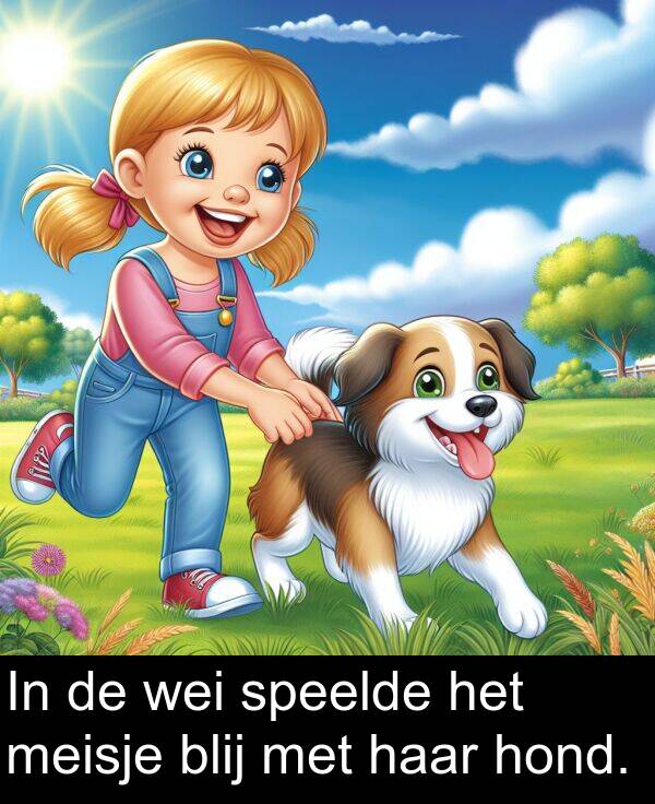 wei: In de wei speelde het meisje blij met haar hond.