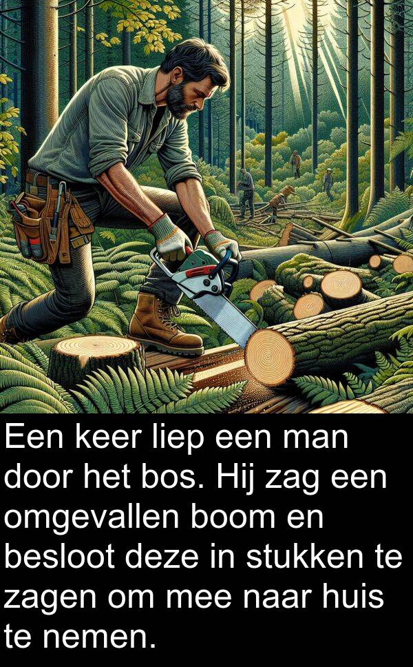 omgevallen: Een keer liep een man door het bos. Hij zag een omgevallen boom en besloot deze in stukken te zagen om mee naar huis te nemen.