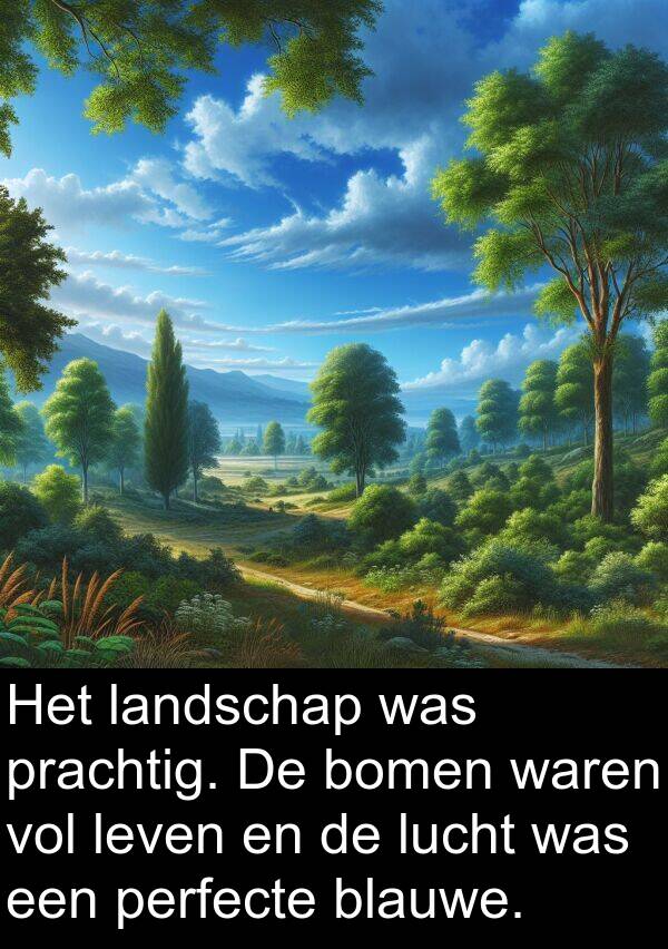 perfecte: Het landschap was prachtig. De bomen waren vol leven en de lucht was een perfecte blauwe.