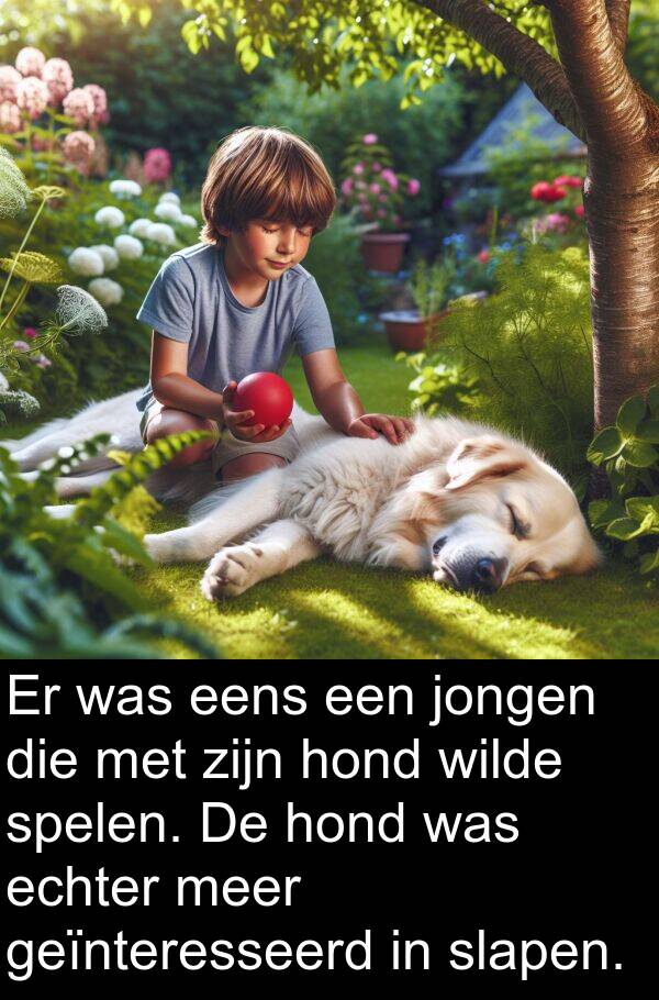 jongen: Er was eens een jongen die met zijn hond wilde spelen. De hond was echter meer geïnteresseerd in slapen.