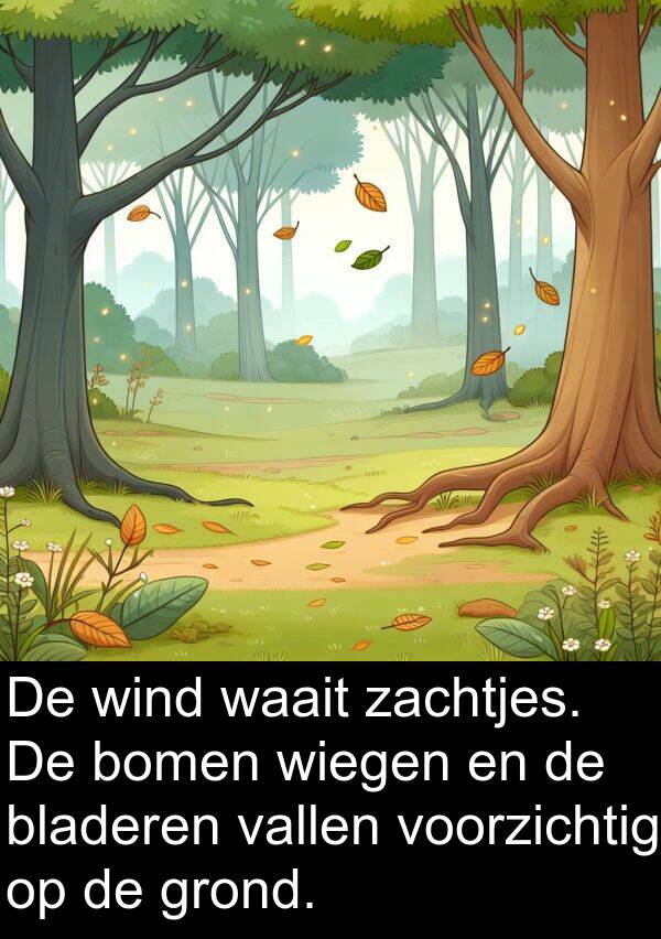 waait: De wind waait zachtjes. De bomen wiegen en de bladeren vallen voorzichtig op de grond.