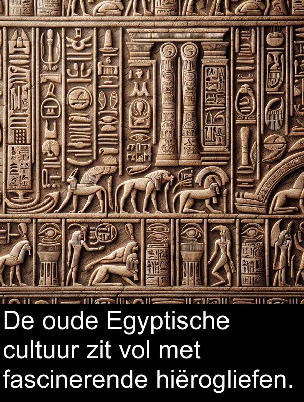 zit: De oude Egyptische cultuur zit vol met fascinerende hiërogliefen.