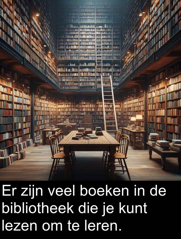 leren: Er zijn veel boeken in de bibliotheek die je kunt lezen om te leren.