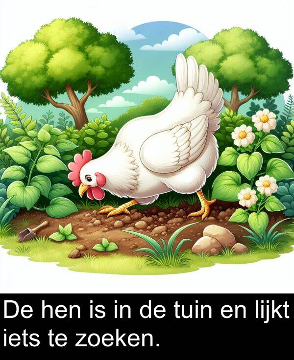 zoeken: De hen is in de tuin en lijkt iets te zoeken.