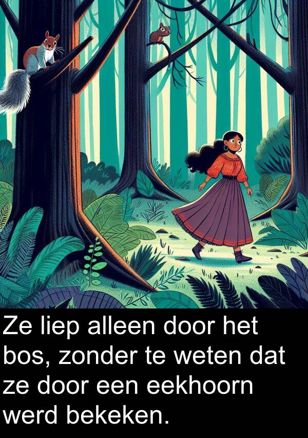 werd: Ze liep alleen door het bos, zonder te weten dat ze door een eekhoorn werd bekeken.