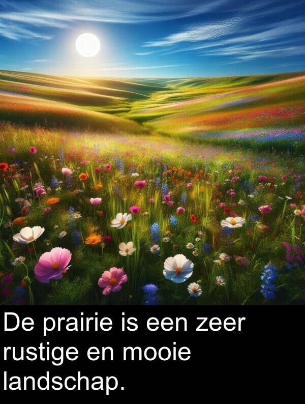 zeer: De prairie is een zeer rustige en mooie landschap.