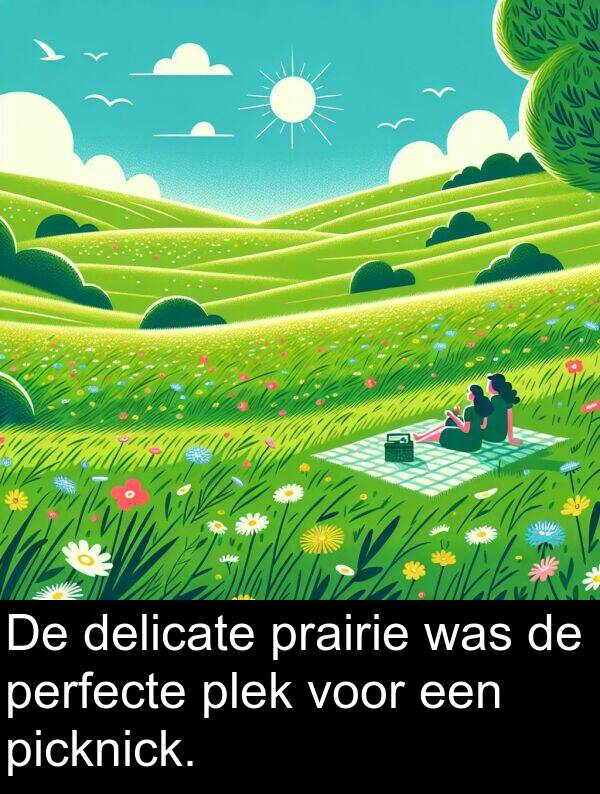 perfecte: De delicate prairie was de perfecte plek voor een picknick.