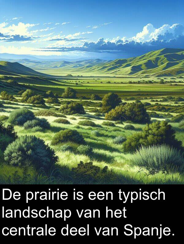 centrale: De prairie is een typisch landschap van het centrale deel van Spanje.