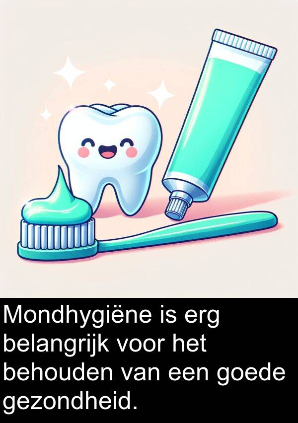 behouden: Mondhygiëne is erg belangrijk voor het behouden van een goede gezondheid.