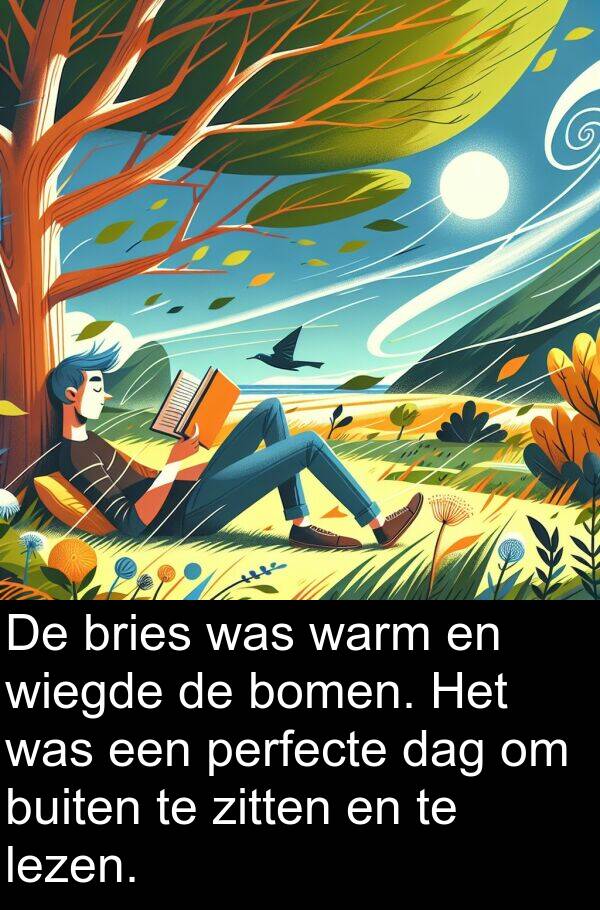 warm: De bries was warm en wiegde de bomen. Het was een perfecte dag om buiten te zitten en te lezen.