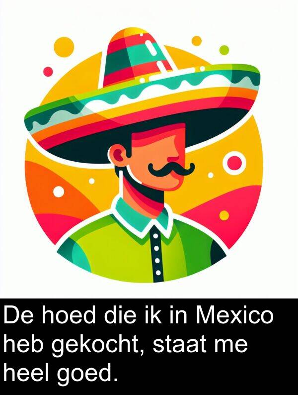 heel: De hoed die ik in Mexico heb gekocht, staat me heel goed.