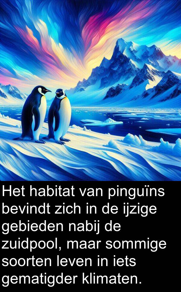 ijzige: Het habitat van pinguïns bevindt zich in de ijzige gebieden nabij de zuidpool, maar sommige soorten leven in iets gematigder klimaten.