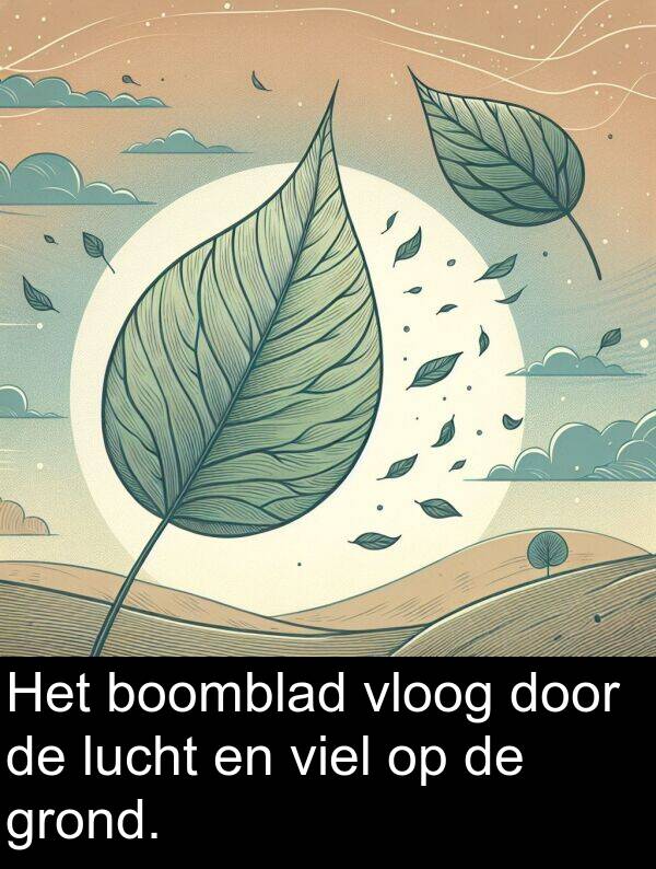 boomblad: Het boomblad vloog door de lucht en viel op de grond.