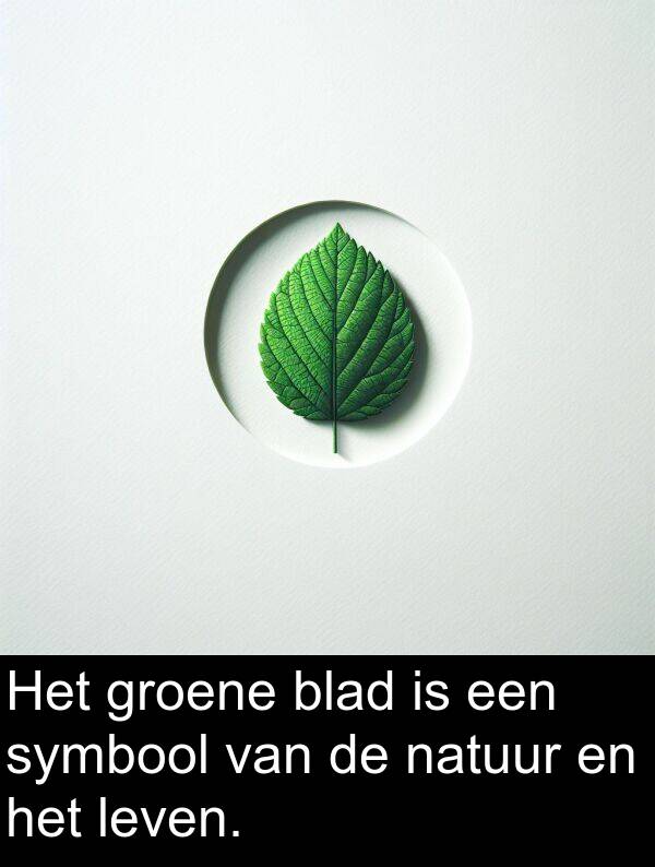 natuur: Het groene blad is een symbool van de natuur en het leven.