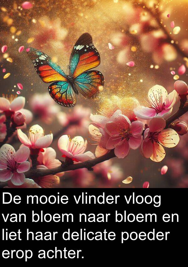 poeder: De mooie vlinder vloog van bloem naar bloem en liet haar delicate poeder erop achter.