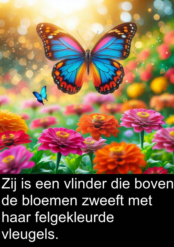 felgekleurde: Zij is een vlinder die boven de bloemen zweeft met haar felgekleurde vleugels.