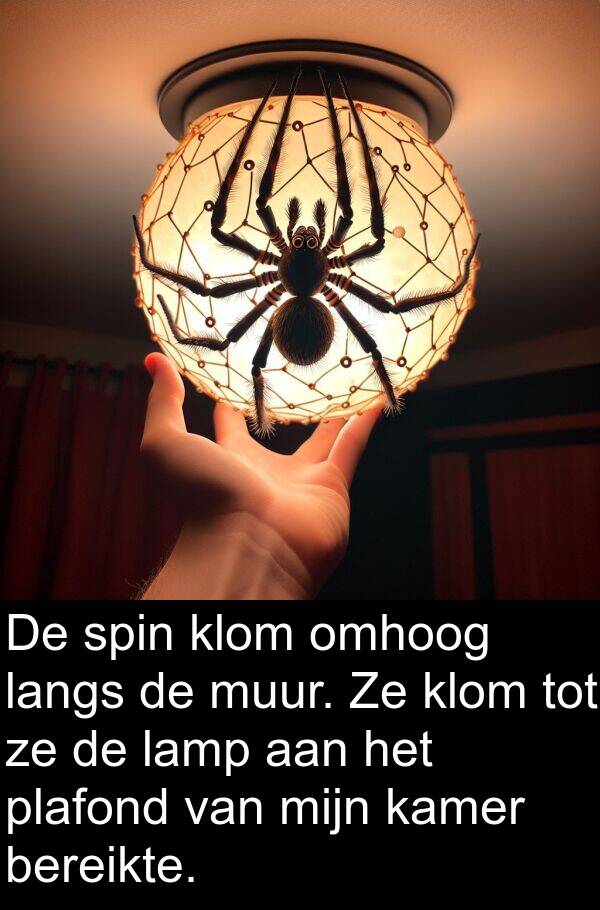 omhoog: De spin klom omhoog langs de muur. Ze klom tot ze de lamp aan het plafond van mijn kamer bereikte.