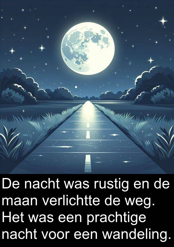 verlichtte: De nacht was rustig en de maan verlichtte de weg. Het was een prachtige nacht voor een wandeling.