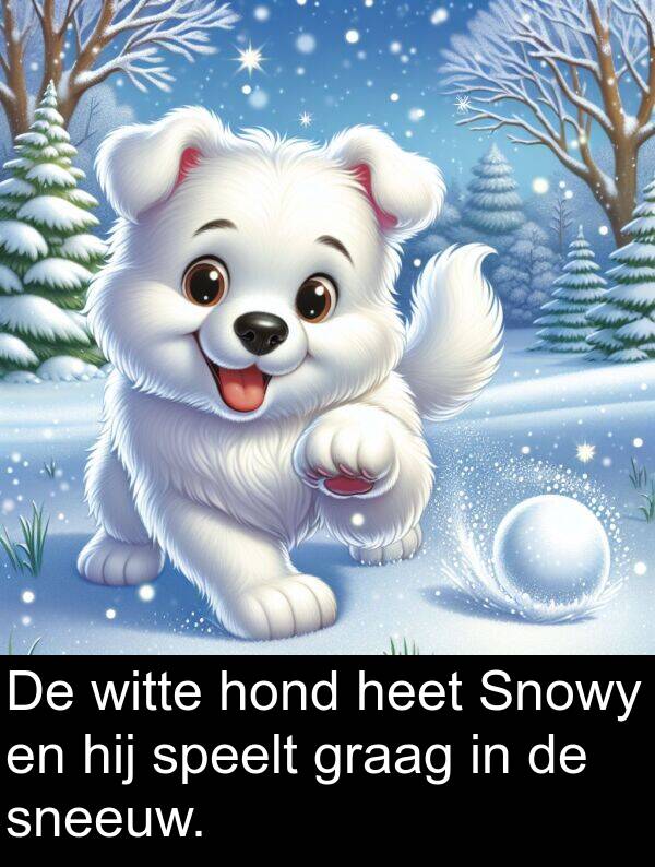 heet: De witte hond heet Snowy en hij speelt graag in de sneeuw.