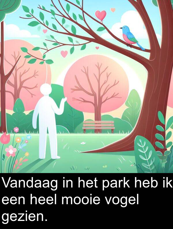 park: Vandaag in het park heb ik een heel mooie vogel gezien.