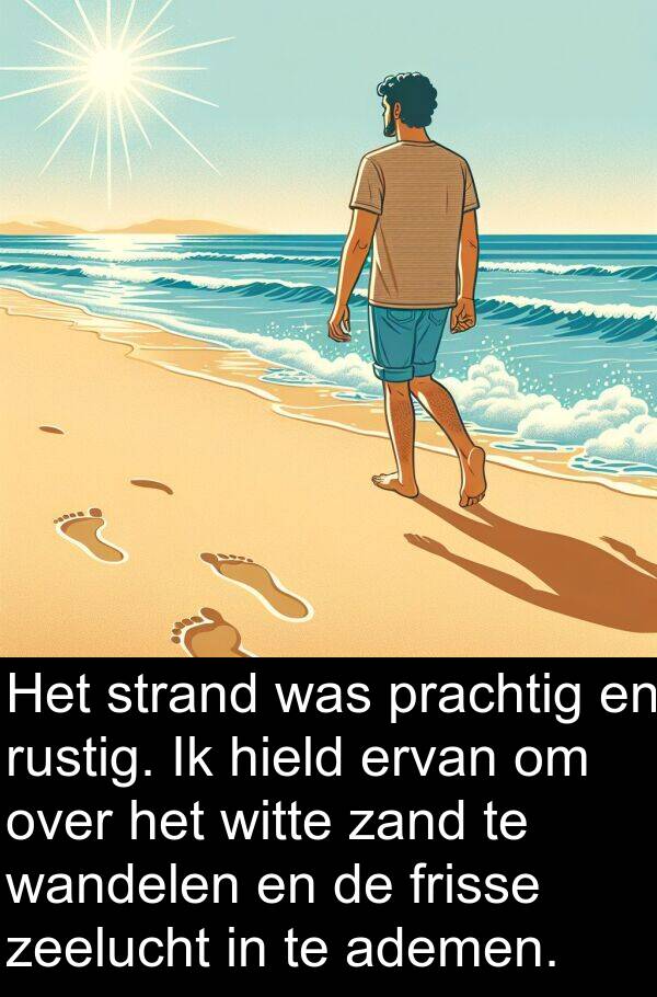 wandelen: Het strand was prachtig en rustig. Ik hield ervan om over het witte zand te wandelen en de frisse zeelucht in te ademen.