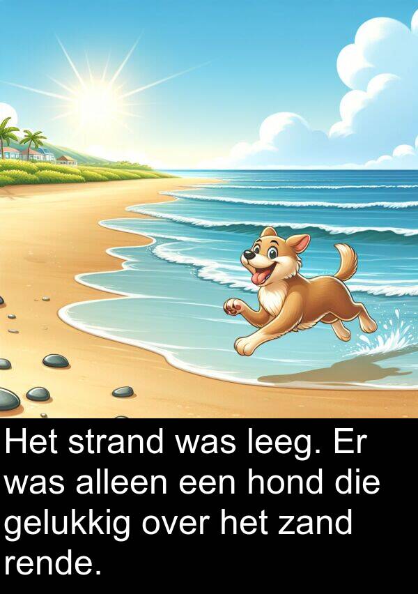 zand: Het strand was leeg. Er was alleen een hond die gelukkig over het zand rende.