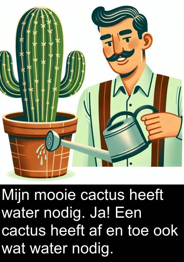 cactus: Mijn mooie cactus heeft water nodig. Ja! Een cactus heeft af en toe ook wat water nodig.