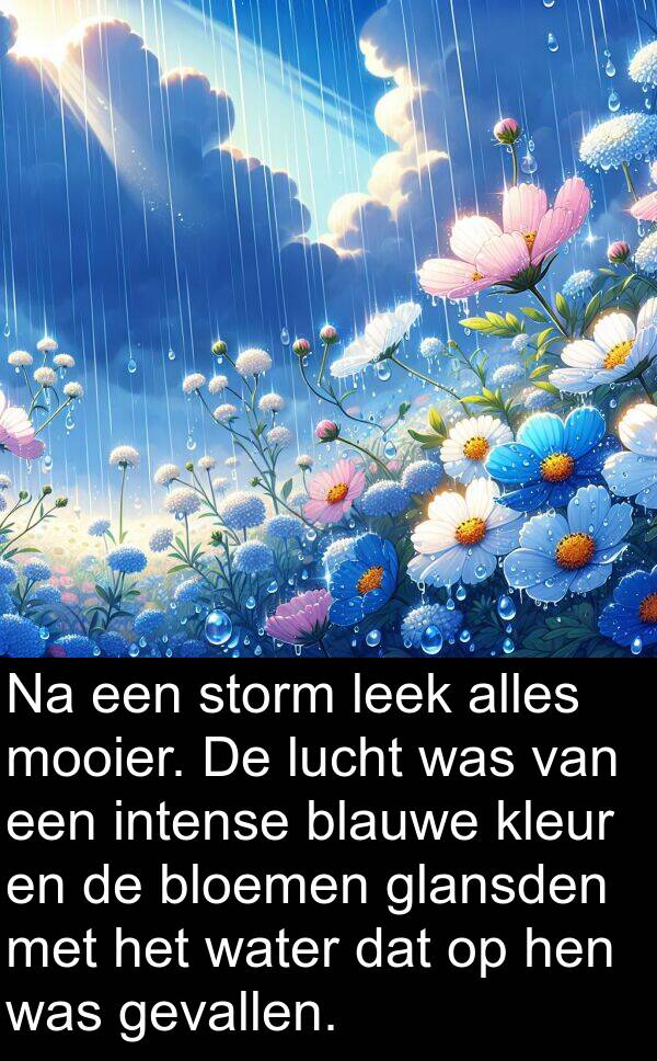 kleur: Na een storm leek alles mooier. De lucht was van een intense blauwe kleur en de bloemen glansden met het water dat op hen was gevallen.