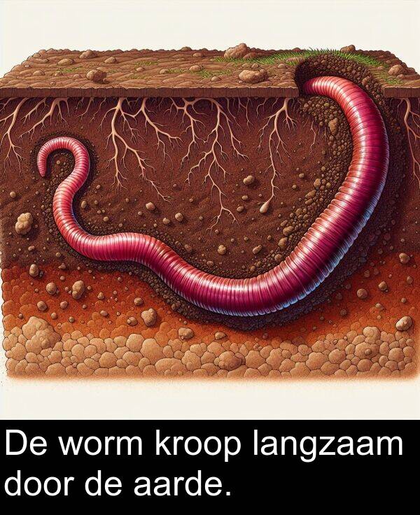 aarde: De worm kroop langzaam door de aarde.