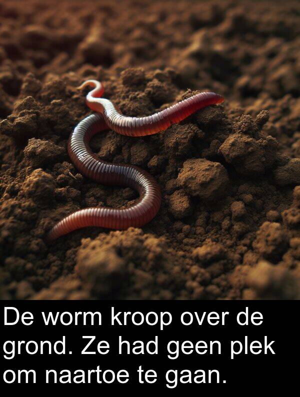 gaan: De worm kroop over de grond. Ze had geen plek om naartoe te gaan.