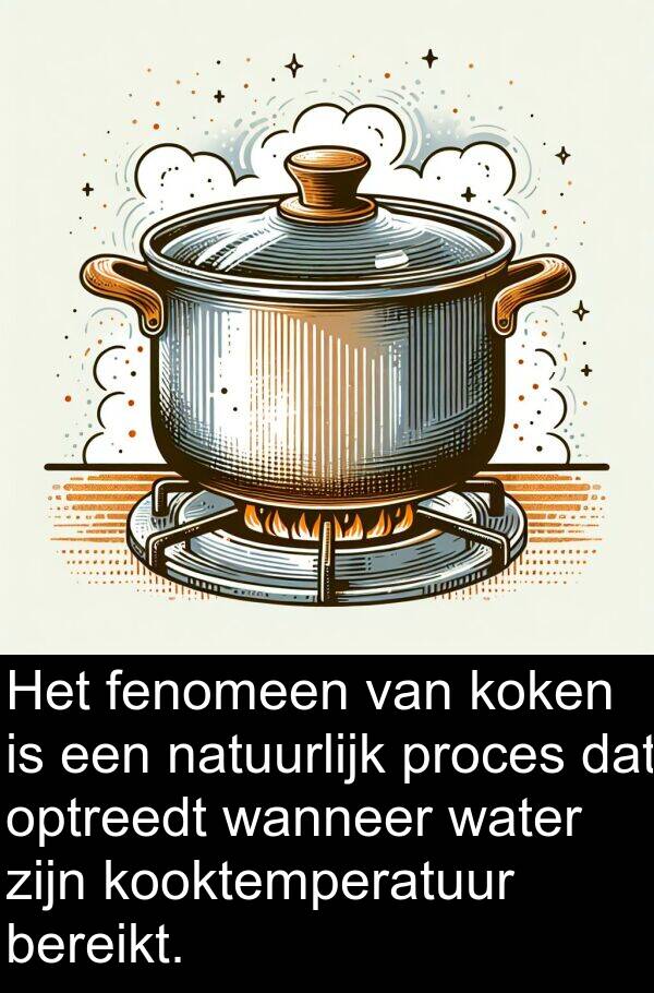 wanneer: Het fenomeen van koken is een natuurlijk proces dat optreedt wanneer water zijn kooktemperatuur bereikt.