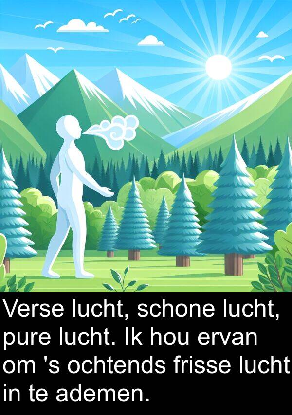 schone: Verse lucht, schone lucht, pure lucht. Ik hou ervan om 's ochtends frisse lucht in te ademen.