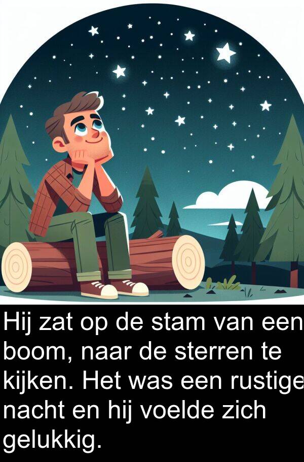 zat: Hij zat op de stam van een boom, naar de sterren te kijken. Het was een rustige nacht en hij voelde zich gelukkig.