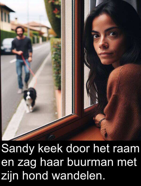 wandelen: Sandy keek door het raam en zag haar buurman met zijn hond wandelen.