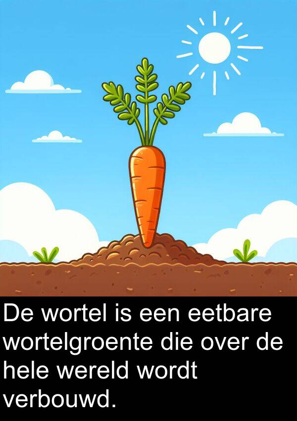 verbouwd: De wortel is een eetbare wortelgroente die over de hele wereld wordt verbouwd.