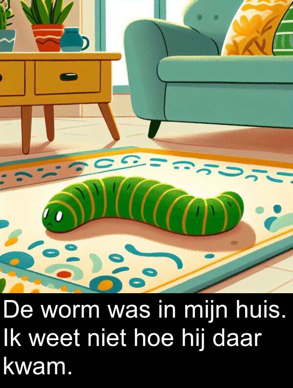 weet: De worm was in mijn huis. Ik weet niet hoe hij daar kwam.