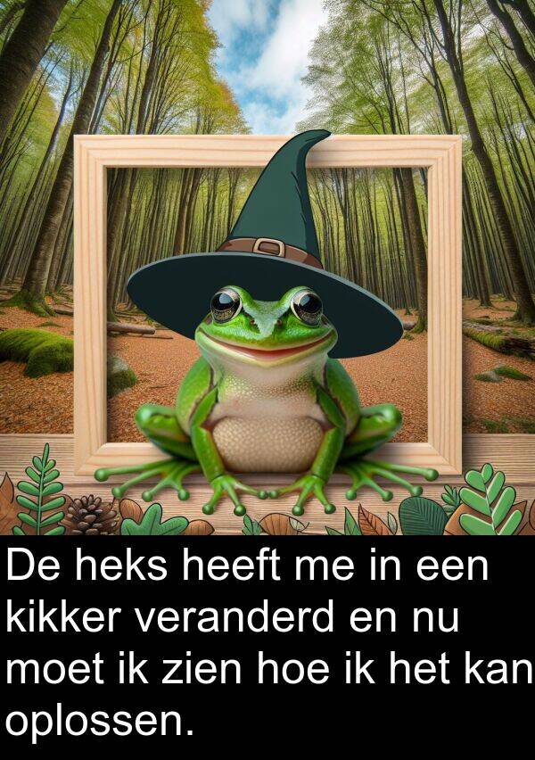 kikker: De heks heeft me in een kikker veranderd en nu moet ik zien hoe ik het kan oplossen.