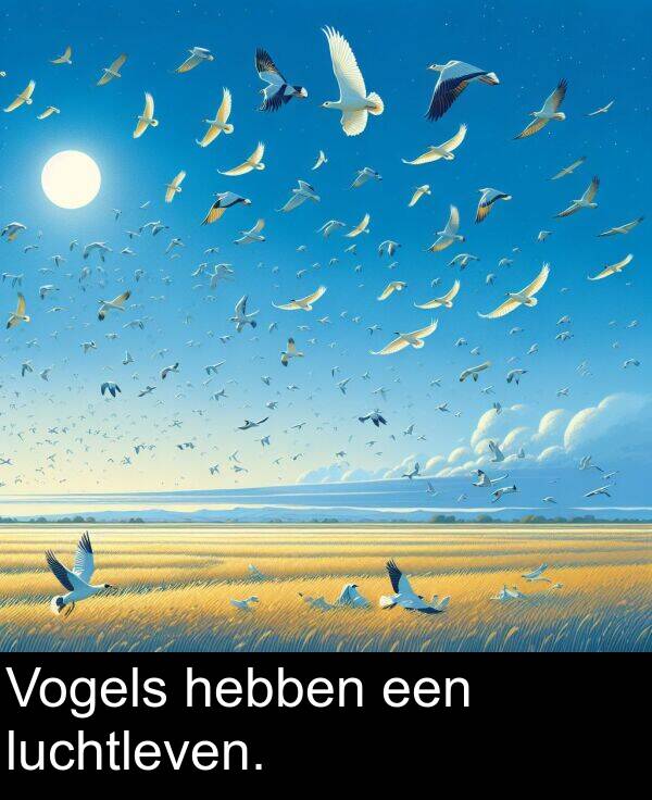 een: Vogels hebben een luchtleven.