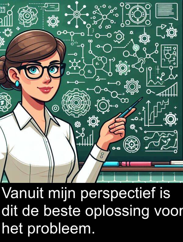 perspectief: Vanuit mijn perspectief is dit de beste oplossing voor het probleem.