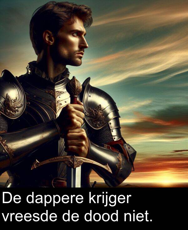 dappere: De dappere krijger vreesde de dood niet.