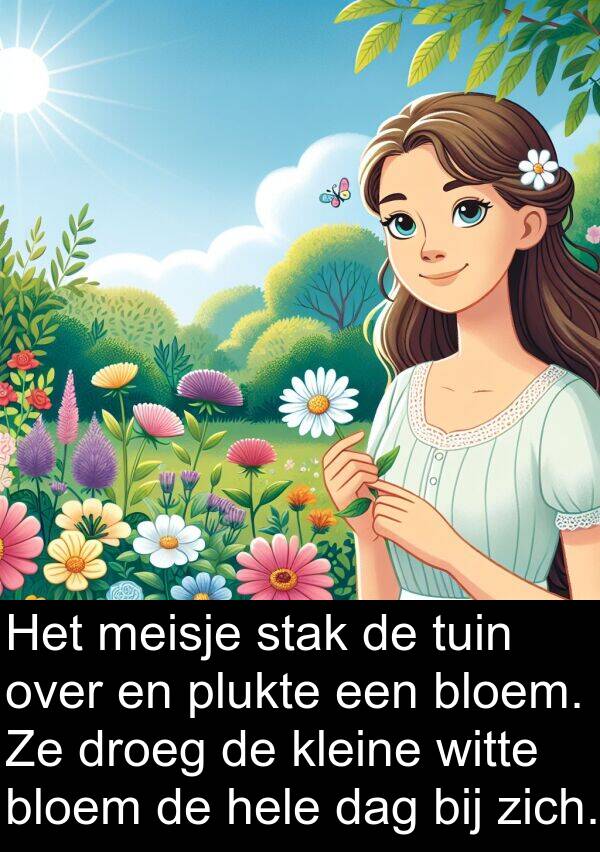 bij: Het meisje stak de tuin over en plukte een bloem. Ze droeg de kleine witte bloem de hele dag bij zich.