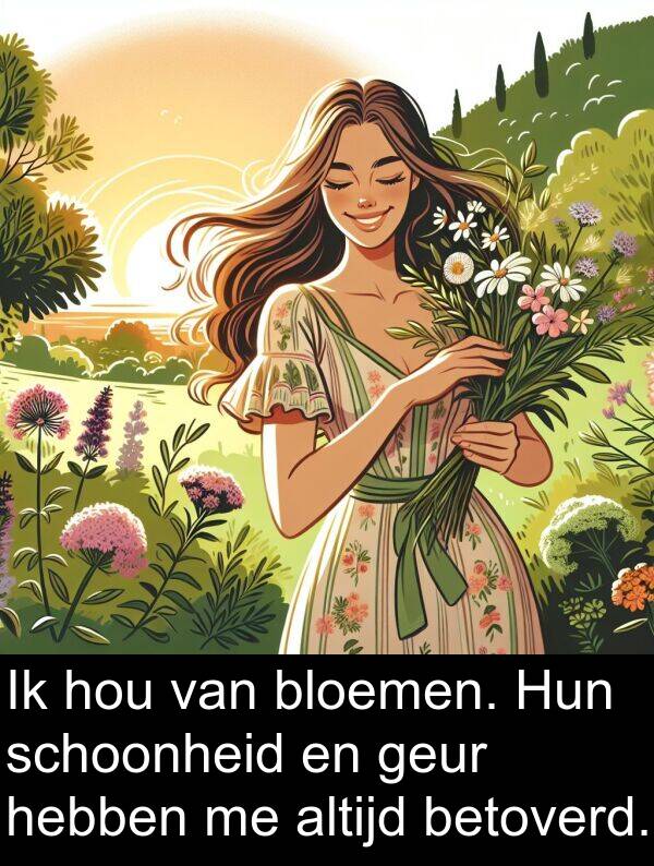 hebben: Ik hou van bloemen. Hun schoonheid en geur hebben me altijd betoverd.