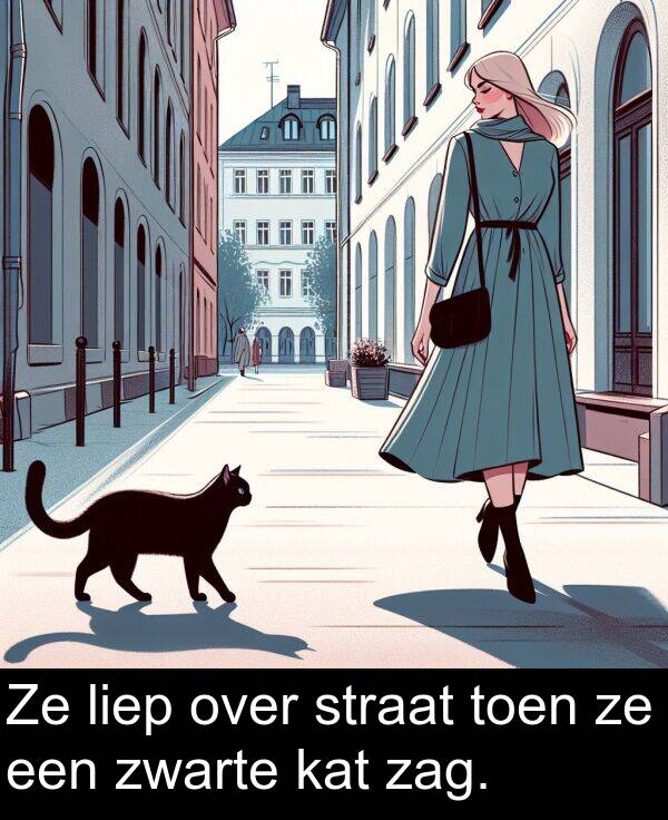 kat: Ze liep over straat toen ze een zwarte kat zag.