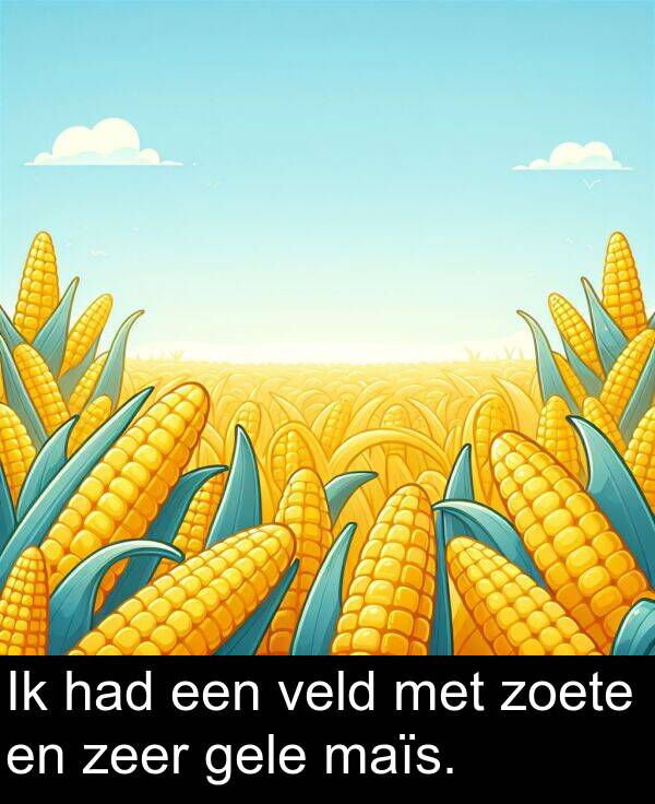 zoete: Ik had een veld met zoete en zeer gele maïs.